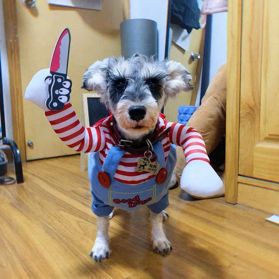 Funny 'Chucky' Halloween Costume for Small Dogs, Cats & Bulldogs | Cozy Puppy Clothes